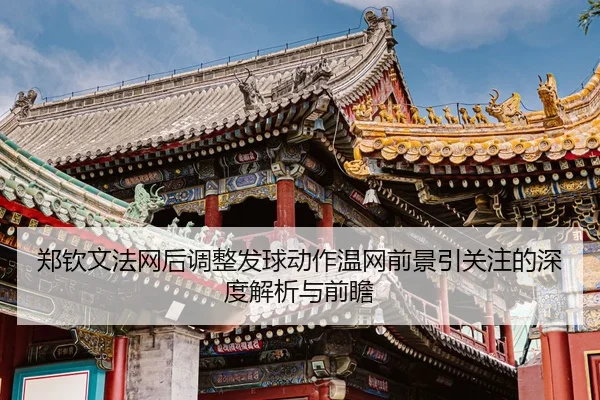 zheng-qin-wen-fa-wang-hou-tiao-zheng-fa-qiu-dong-zuo-wen-wang-qian-jing-yin-guan-zhu-de-shen-du-jie-xi-yu-qian-zhan-1-608.jpg